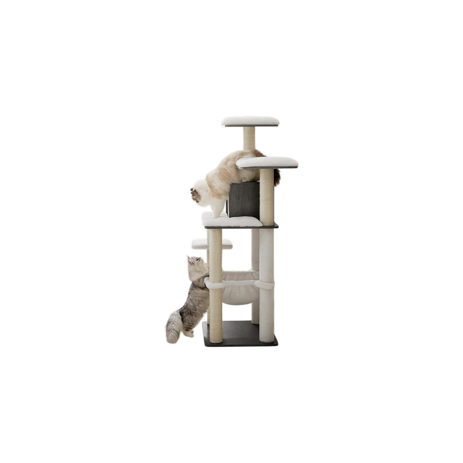 Feandreacattrees